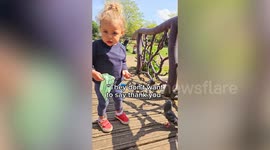 Polite tot wonders why pigeons don't say 'thank you' after being fed