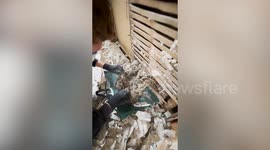 Couple find bones in wall of Victorian home while renovating
