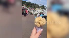 Seagull snatches ice cream in seconds during woman’s seaside experiment
