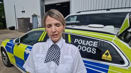 Breeders producing “monster dogs