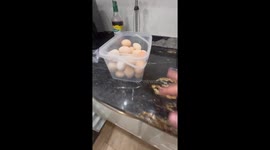 Egg hilariously bounces off pan while frying attempt in Warsaw, Poland