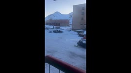 Man flees after polar bear encounter near sled parking in Svalbard, Norway