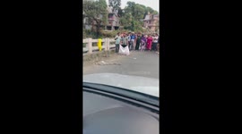 Tangled snakes cause traffic disruption in Kangra, India