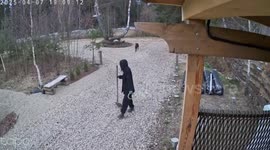 Woman trips over dog's leash and falls in Lviv, Ukraine