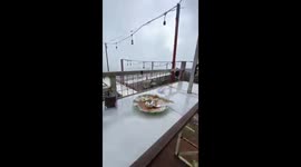 Hungry monkey approaches couple during meal in Karanganyar, Central Java, Indonesia
