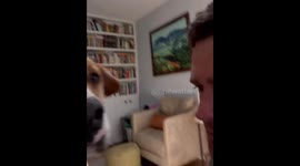 Dog adorably joins couple's anniversary kiss in Los Angeles, California, USA
