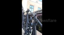 Sweden: Activists opposed to Israel's actions in Gaza held a rally in Gothenburg, Sweden, demanding the closure of Israeli weapons manufacturer Elbit Systems