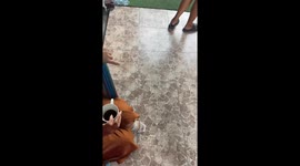 Weird Dog
