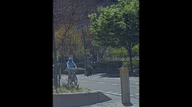 Scuffle breaks out after pedestrian walks across enraged cyclist's path
