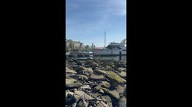 Boat Crashes Into Dock