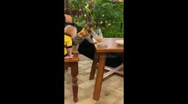Which of the two monkeys is responsible for this accident?