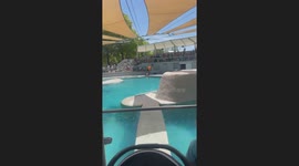 Cutest Sea lion show commentary at Kansas City zoo and aquarium