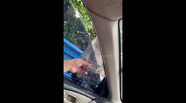 Monkey takes treat from tourist through car window
