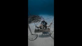 Plus-size free diver poses underwater in black lingerie