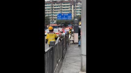 Playful kittens run along curved guardrail