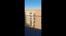 Neighbour screaming at dead guy from balcony