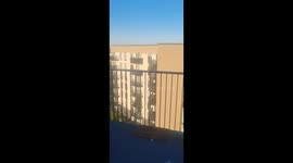 Neighbour thinks other Neighbour is dead