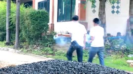 Buddhist monk stung to death by angry wild bees at parade in Thailand