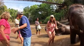 Playful elephant gives female tourist a kiss with its trunk