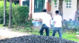 Buddhist monk stung to death by angry wild bees at parade in Thailand