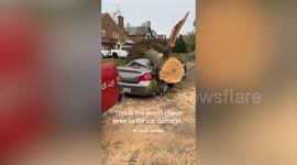 Footage shows car crushed under tree after tornado hits St. Louis, Missouri