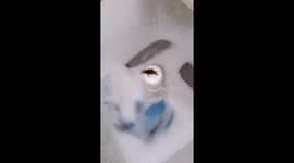 Cockroach Goes for a Spin on Washing Machine