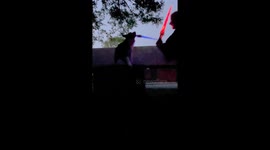 May the 4th Be With You!