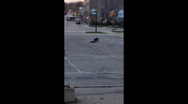Wipeout for Kid Pulled by RC Car