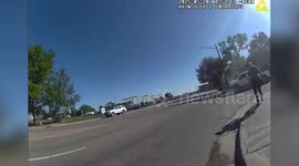 Nine Ducklings Rescued From Sewer by Commerce City, Colorado Officers