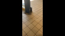 Remote Control Roman Candle Delivery