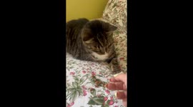 I Think She Liked It