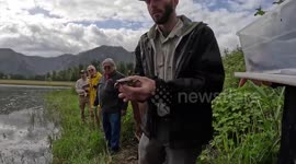 Turtles released into river after zoo rehabilitation in Washington