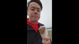 Seagull snatches tourist's ice cream cone on Irish coast