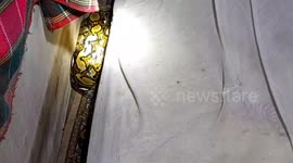 Horrified housewife finds 15ft python that ate her kitten hiding under her bed
