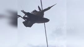 Firefighter rescues heron tangled in fishing line in China