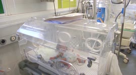 UN warns 14,000 Gazan babies face death in next 48 hours