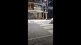 Stray dog waits patiently to use crossing on road