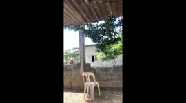 Pensioner climbs over garden wall to enter home