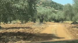 Palestine: Israel imposes ‘collective punishment’ with siege, home demolitions in northern West Bank city