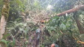 Indonesia: Landslide in Indonesia’s West Papua kills 9, leaves 11 missing