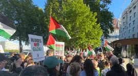 UK: Pro-Palestine activists in London demonstrate against 'police crackdown on right to protest'