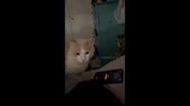 Klaus Says