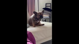 Dozing Off