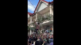 Festival goers tear down trees as they scramble for free gifts