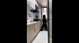 Pet dog adopts a human pose at kitchen window