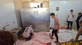 At least 15 more Palestinians killed by Israeli army fire in war-torn Gaza