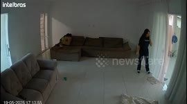 Dog accidentally shatters glass door while trying to escape in Mogi das Cruzes, São Paulo, Brazil