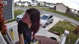 Woman's attempt to avoid spotted lanternfly ends with a fall down the stairs