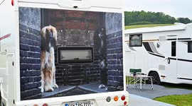 Czechia: Sighthounds compete in FCI World Championship in Czech Republic