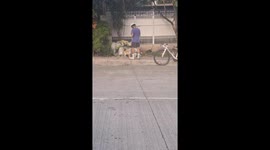 Kind cyclist feeds stray cats on pavement